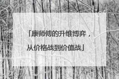康师傅的升维博弈，从价格战到价值战