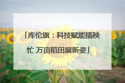 库伦旗：科技赋能插秧忙 万亩稻田展新姿