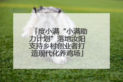 度小满“小满助力计划”落地汝阳支持乡村创业者打造现代化养鸡场