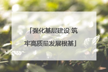 强化基层建设 筑牢高质量发展根基