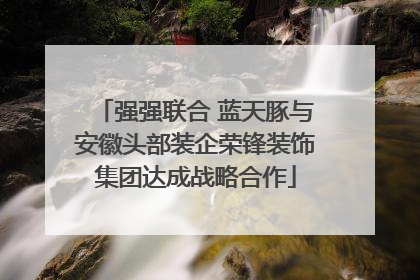 强强联合 蓝天豚与安徽头部装企荣锋装饰集团达成战略合作