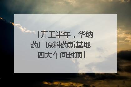 开工半年，华纳药厂原料药新基地四大车间封顶