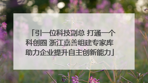 引一位科技副总 打通一个科创圈 浙江嘉善组建专家库助力企业提升自主创新能力
