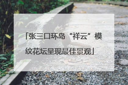 张三口环岛“祥云”模纹花坛呈现最佳景观