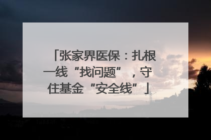 张家界医保：扎根一线“找问题”，守住基金“安全线”