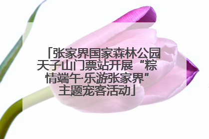 张家界国家森林公园天子山门票站开展“粽情端午·乐游张家界”主题宠客活动
