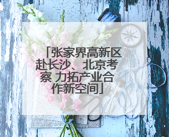 张家界高新区赴长沙、北京考察 力拓产业合作新空间