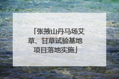 张掖山丹马场艾草、甘草试验基地项目落地实施