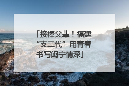 接棒父辈！福建“支二代”用青春书写闽宁情深