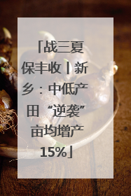 战三夏 保丰收丨新乡：中低产田“逆袭” 亩均增产15%