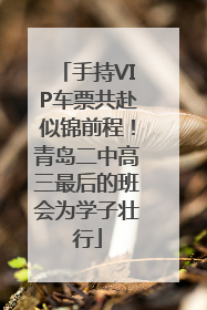 手持VIP车票共赴似锦前程！青岛二中高三最后的班会为学子壮行