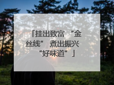 挂出致富 “金丝线” 煮出振兴“好味道”
