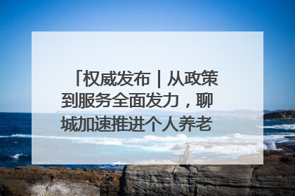 权威发布｜从政策到服务全面发力，聊城加速推进个人养老金制度落地