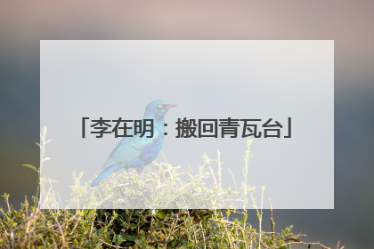 李在明：搬回青瓦台