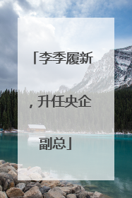 李季履新，升任央企副总