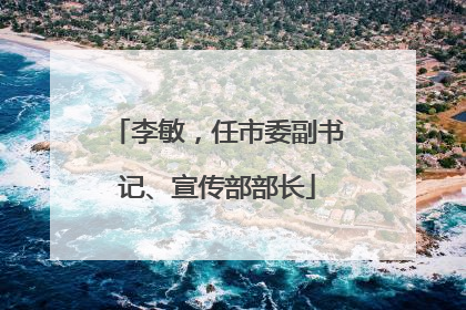 李敏，任市委副书记、宣传部部长