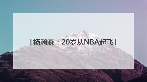 杨瀚森：20岁从NBA起飞