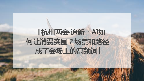 杭州两会·追新：AI如何让消费突围？场景和路径成了会场上的高频词