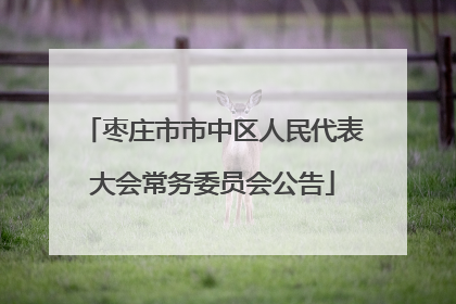 枣庄市市中区人民代表大会常务委员会公告