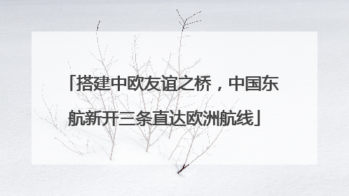 搭建中欧友谊之桥，中国东航新开三条直达欧洲航线