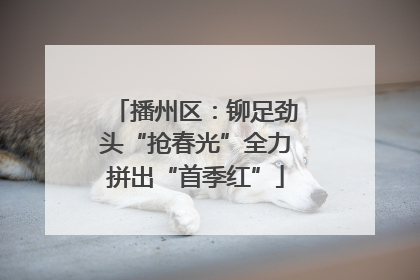 播州区：铆足劲头“抢春光”全力拼出“首季红”