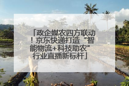 政企媒农四方联动！京东快递打造“智能物流+科技助农”行业直播新标杆