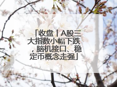 收盘丨A股三大指数小幅下跌，脑机接口、稳定币概念走强
