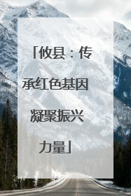 攸县：传承红色基因 凝聚振兴力量