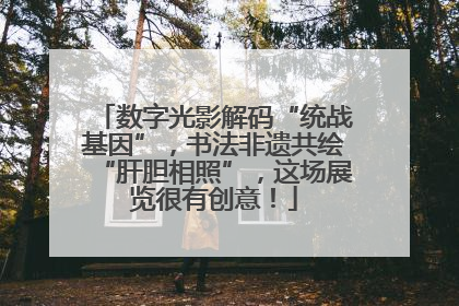 数字光影解码“统战基因”，书法非遗共绘“肝胆相照”，这场展览很有创意！