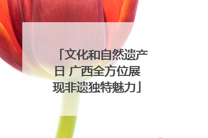文化和自然遗产日 广西全方位展现非遗独特魅力