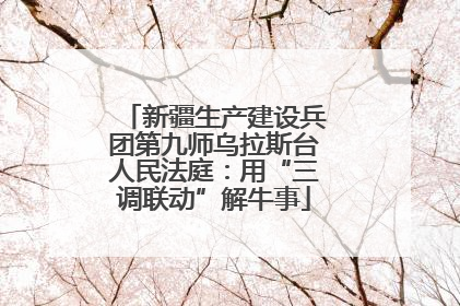 新疆生产建设兵团第九师乌拉斯台人民法庭：用“三调联动”解牛事