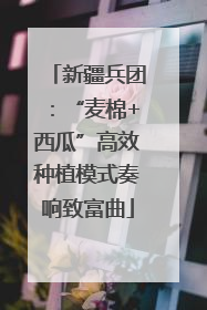 新疆兵团：“麦棉+西瓜”高效种植模式奏响致富曲