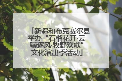 新疆和布克赛尔县举办“石榴花开·云骥逐风·牧野欢歌”文化演出季活动