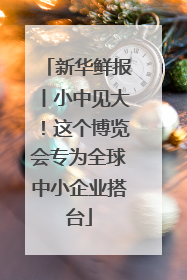 新华鲜报丨小中见大！这个博览会专为全球中小企业搭台