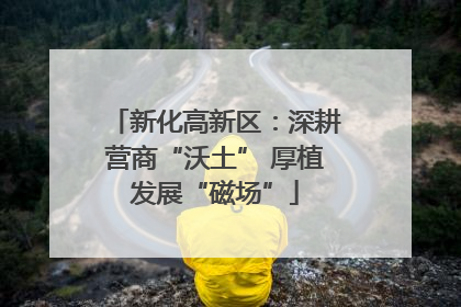 新化高新区：深耕营商“沃土” 厚植发展“磁场”