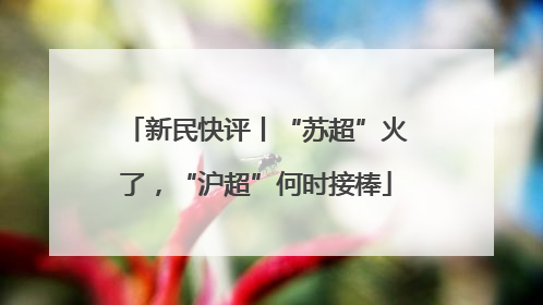 新民快评丨“苏超”火了，“沪超”何时接棒