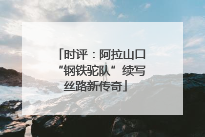 时评：阿拉山口“钢铁驼队”续写丝路新传奇
