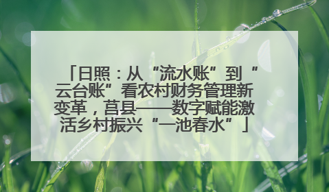 日照：从“流水账”到“云台账”看农村财务管理新变革，莒县——数字赋能激活乡村振兴“一池春水”