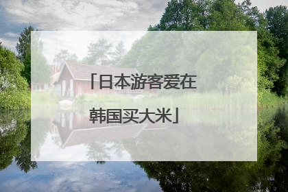 日本游客爱在韩国买大米