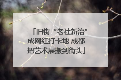 旧街“老社新治”成网红打卡地 成都把艺术展搬到街头