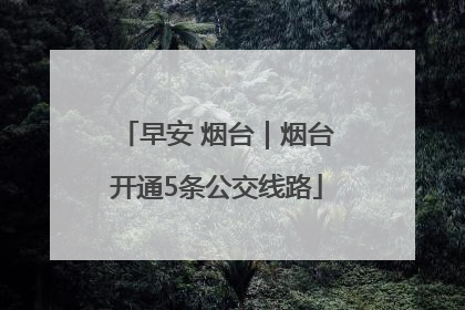 早安 烟台｜烟台开通5条公交线路