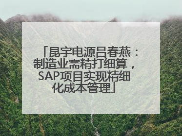 昆宇电源吕春燕：制造业需精打细算，SAP项目实现精细化成本管理