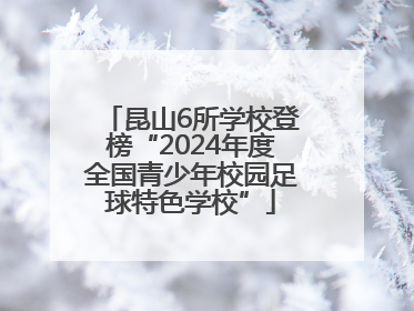 昆山6所学校登榜“2024年度全国青少年校园足球特色学校”
