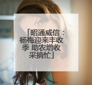 昭通威信：杨梅迎来丰收季 助农增收采摘忙