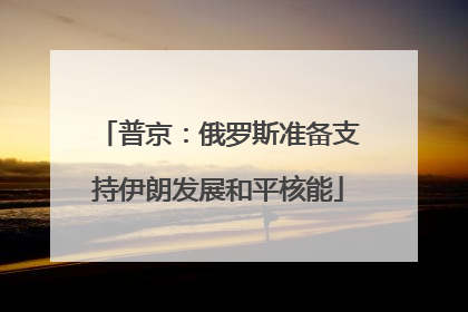 普京：俄罗斯准备支持伊朗发展和平核能