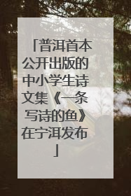 普洱首本公开出版的中小学生诗文集《一条写诗的鱼》在宁洱发布