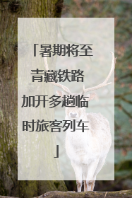 暑期将至 青藏铁路加开多趟临时旅客列车