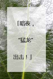 暗夜，“猛龙”出击！