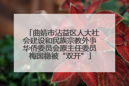 曲靖市沾益区人大社会建设和民族宗教外事华侨委员会原主任委员梅国稳被“双开”