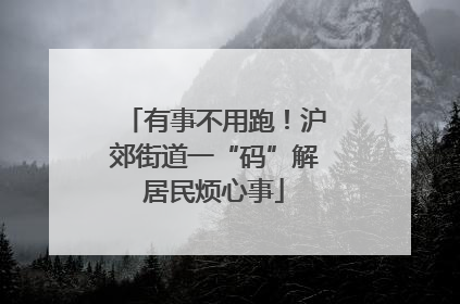 有事不用跑！沪郊街道一“码”解居民烦心事